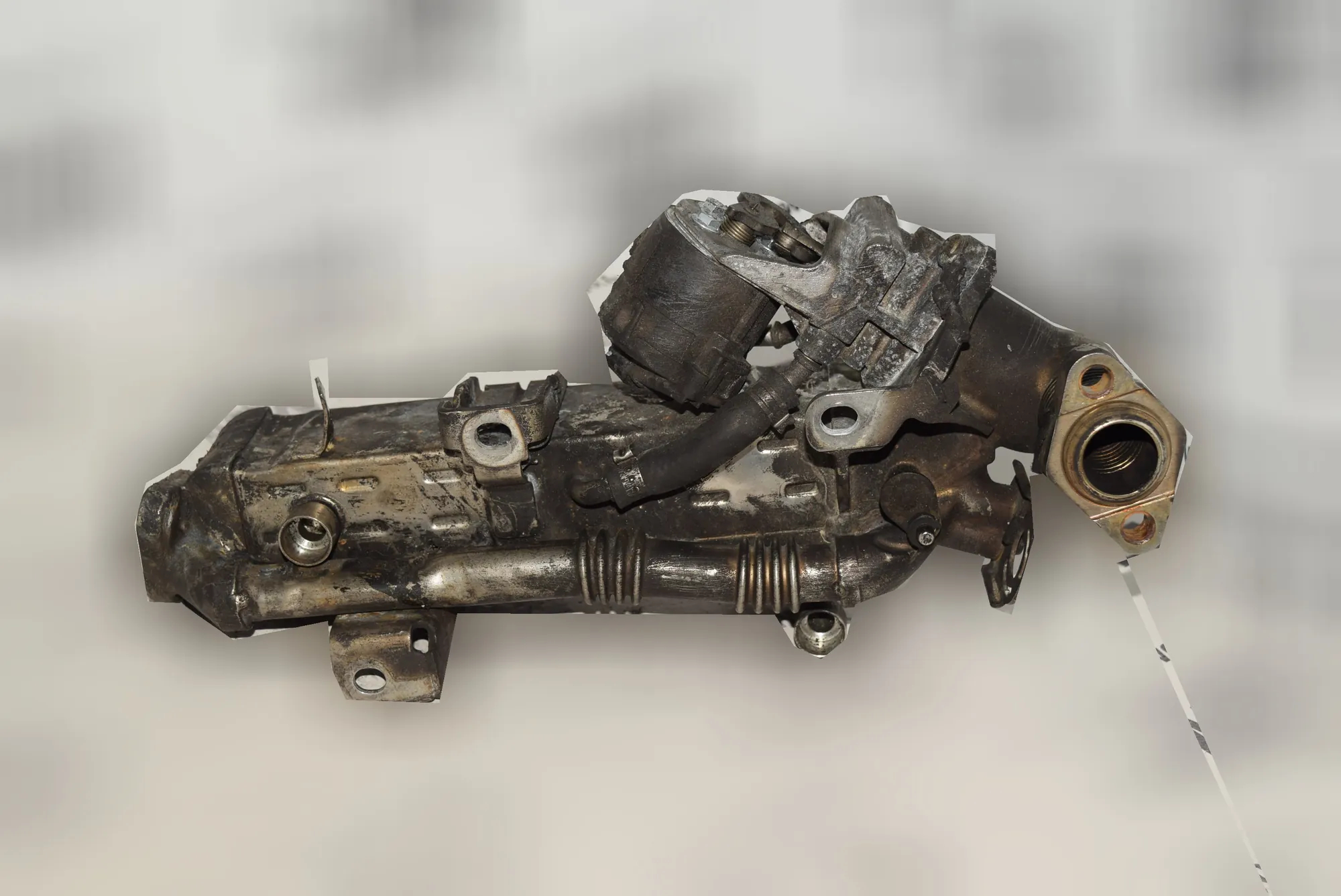 EGR Cooler · BMW 5 Touring (F11) 530 d xDrive 2015