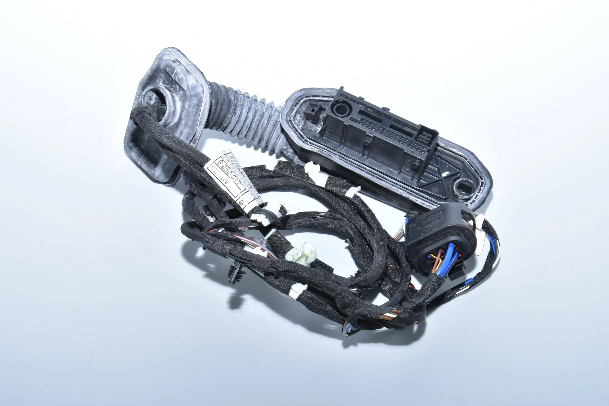 Rear Right Door Wiring – OEM 9256017 · BMW 5 Touring (F11) BMW 5 Touring (F11) 2011