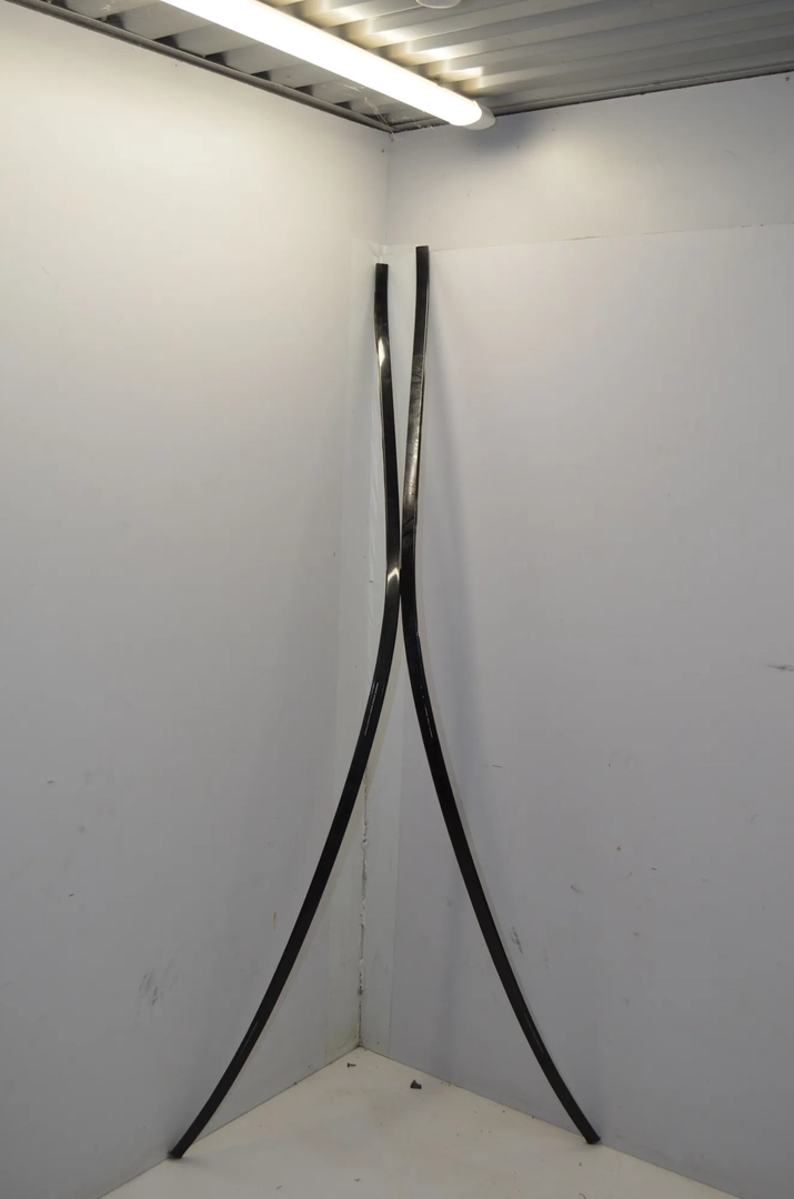 Left Side Roof Strip Trim – OEM 7362459 · BMW 5 (F10) 525 d 2010