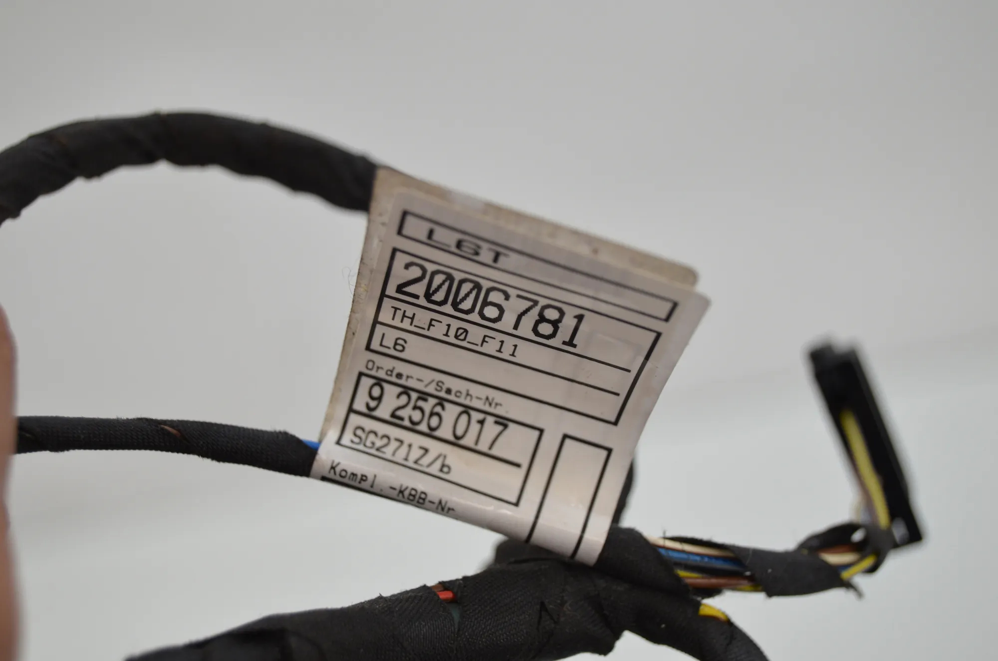 Front Left Door Wiring – OEM 9255986 · BMW 5 Touring (F11) 530 d 2012 – 7