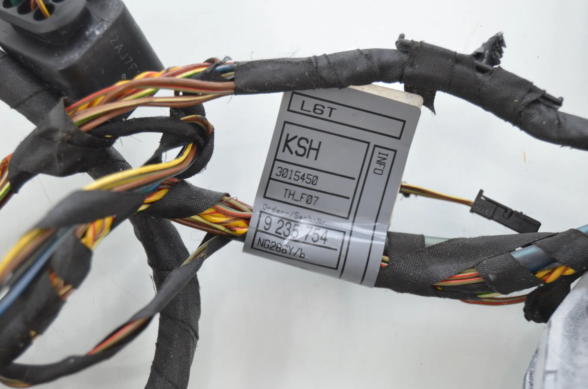 Rear Left Door Wiring – OEM 9235754 · BMW 5 Gran Turismo (F07) 530 d xDrive 2010 – 6