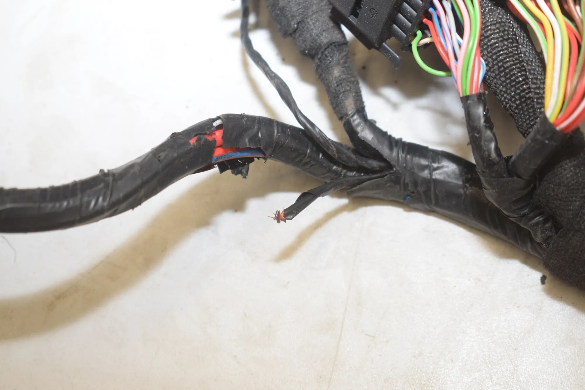 Cable Harness – OEM 2284960 · BMW i3 (I01) s Electric 2022 – 6