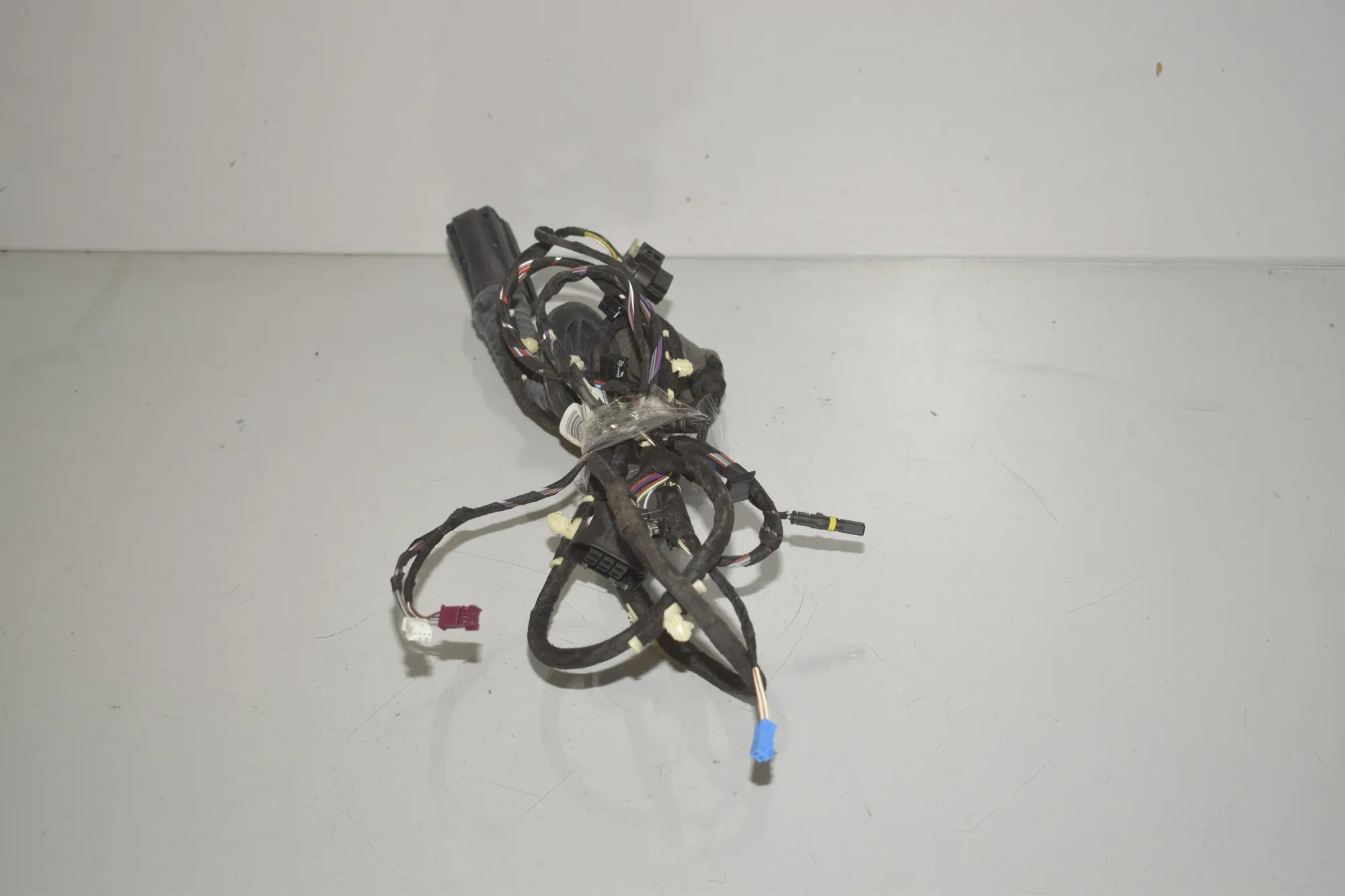 Rear Left Door Wiring – OEM 5A49005 · BMW X3 (G01, F97) (2017 - -) xDrive 30 e Plug-in-Hybrid 2022 – 4
