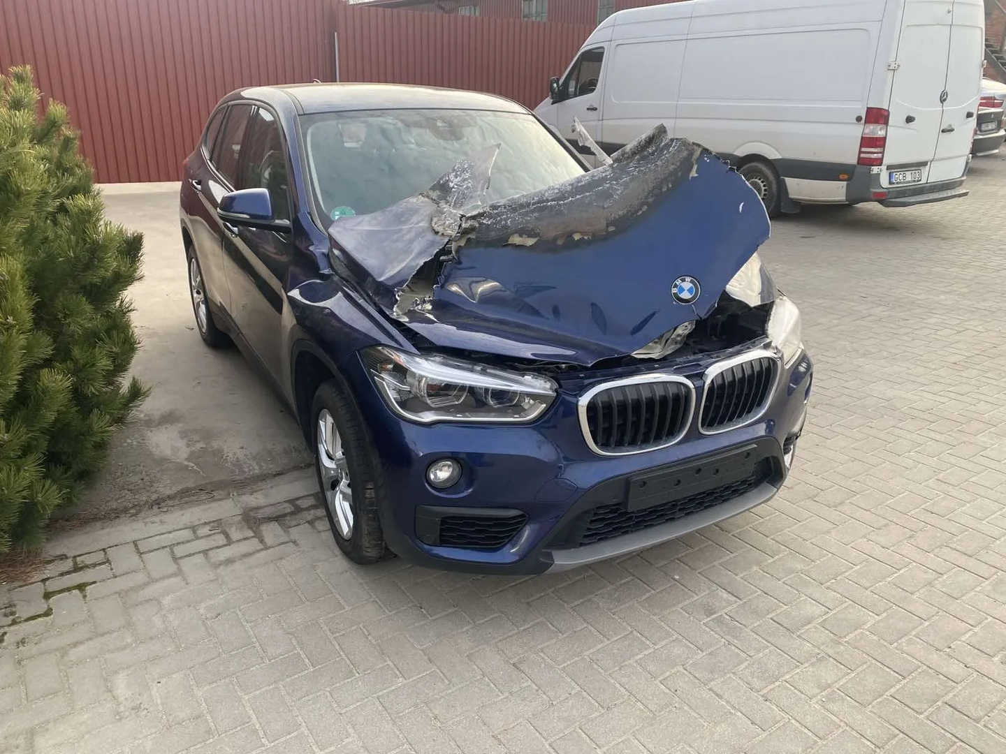 BMW X1 (F48) xDrive 18 d 2018 – 6