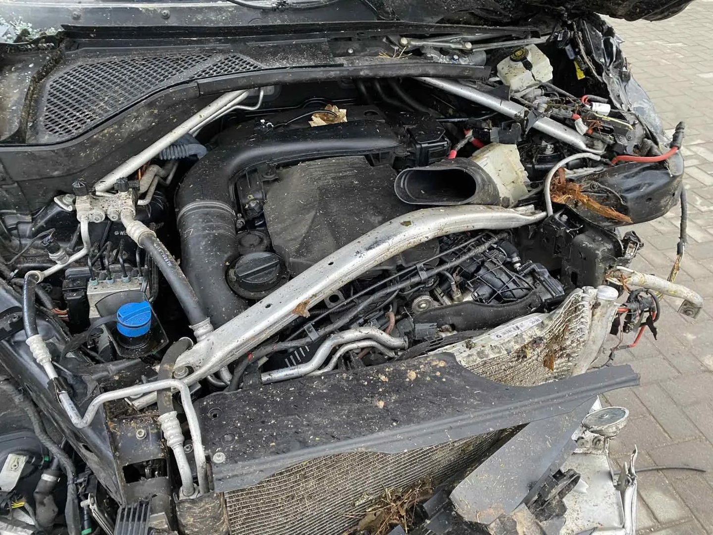 BMW X5 (F15, F85) xDrive 30 d 2015 – 7