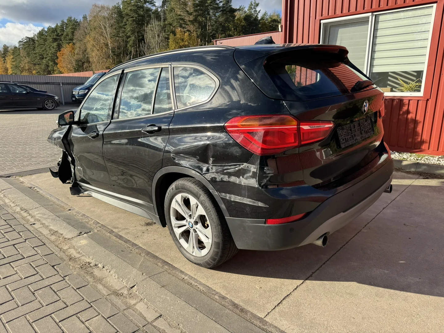 BMW X1 (F48) xDrive 20 d 2016