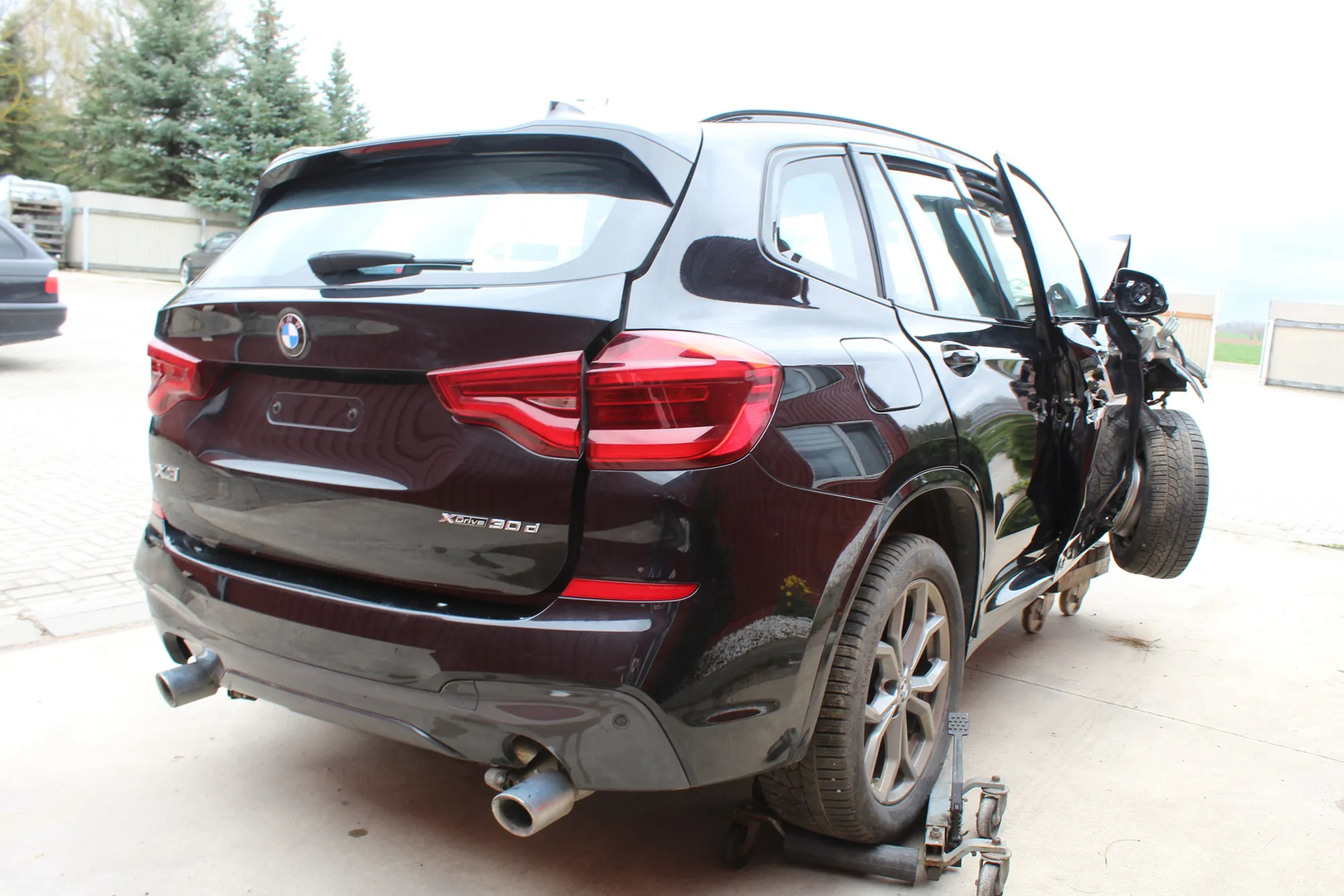 BMW X3 (G01, F97) (2017 - -) xDrive 30d 2018 – 3