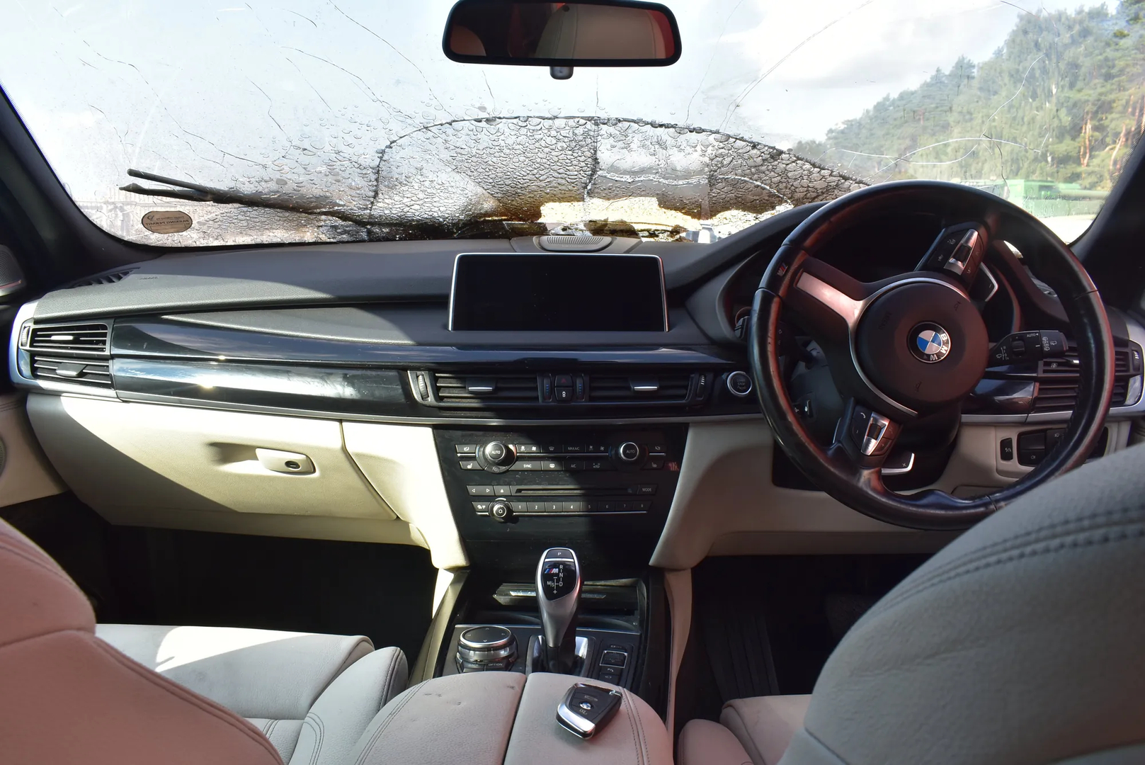 BMW X5 (F15, F85) M 50 d 2015 – 16