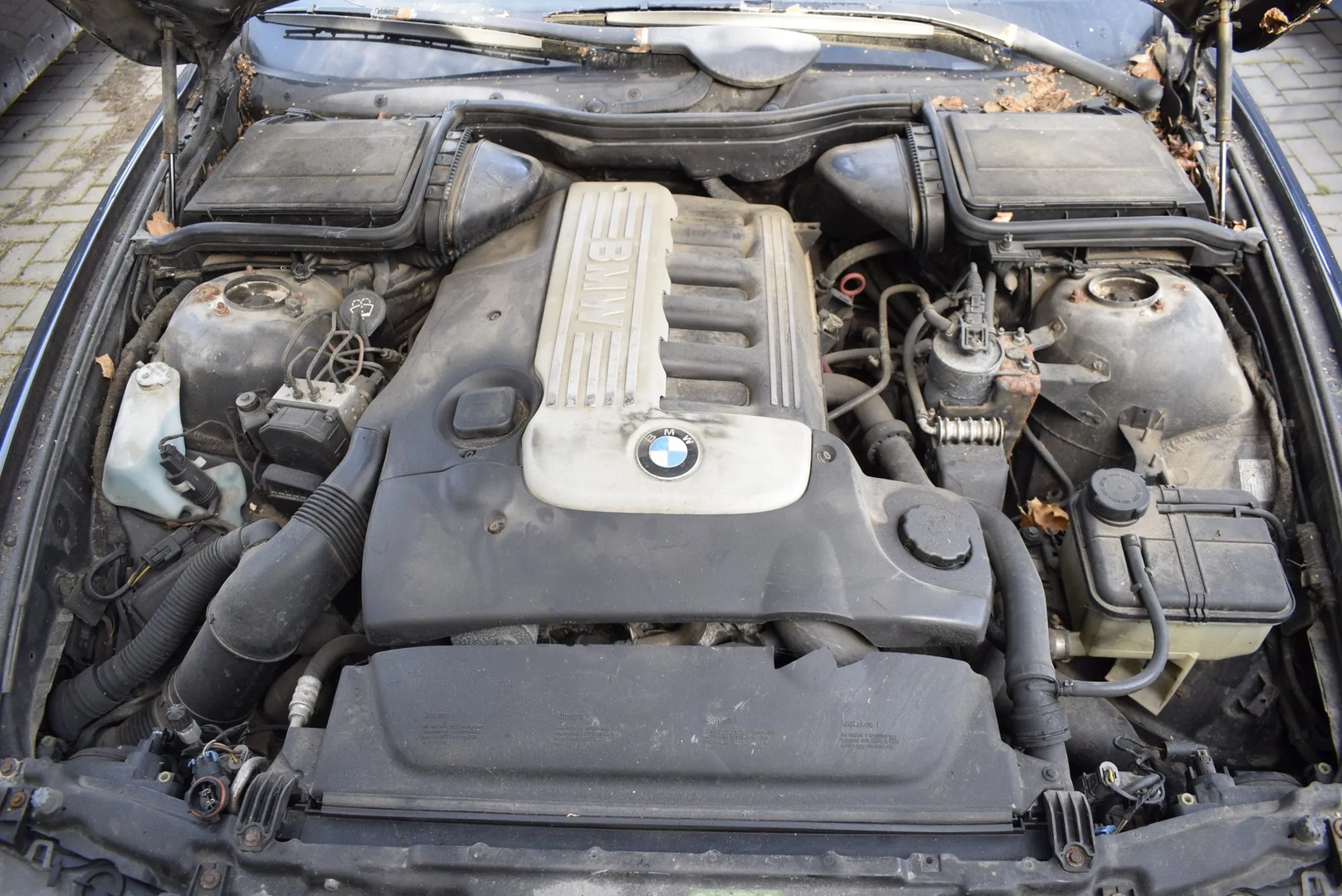 BMW 5 (E39) 530 d 2001 – 3
