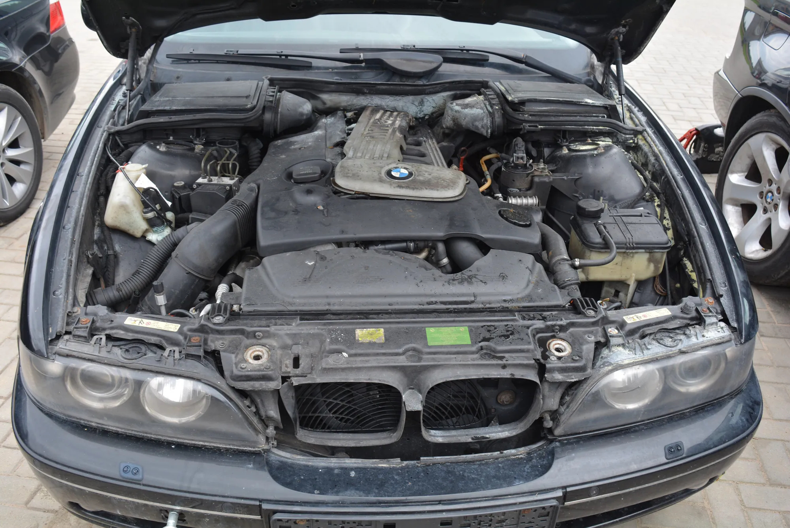 BMW 5 Touring (E39) 530 d 2002 – 5